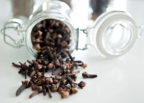 clavo de olor En busca del sol