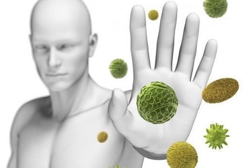 Alimentos ideales para tu sistema inmunitario
