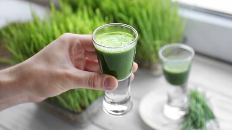 Jugo de pasto de trigo