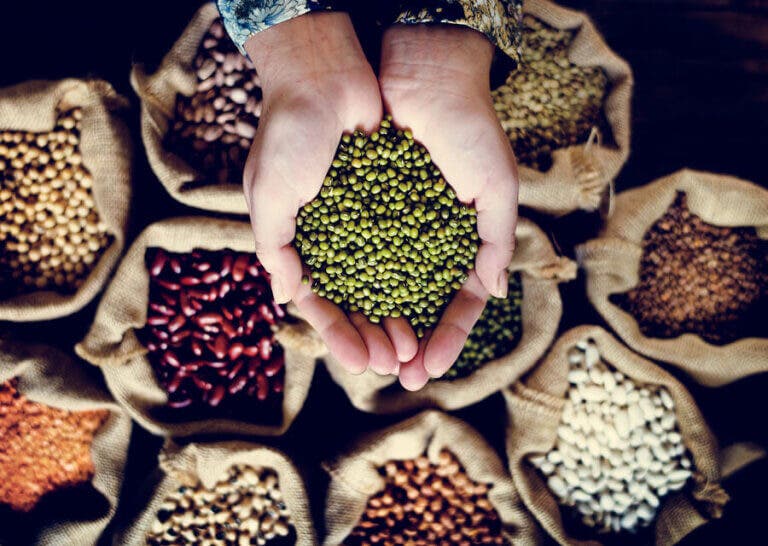 Beneficios de las legumbres y tips para facilitar su digestión
