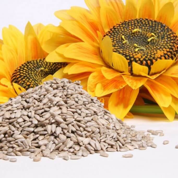 Bondades que desconocías de las semillas de girasol