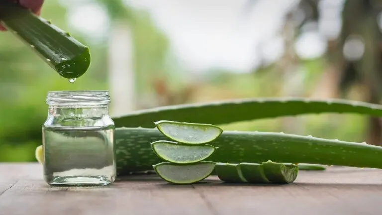 12 beneficios de la sábila para tu salud