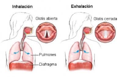 10 técnicas curiosas que sirven... ¿para curar el hipo?