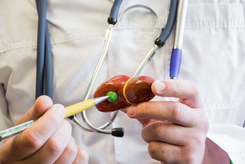 Depuración de la vesícula: ¿se recomiendan los remedios naturales?