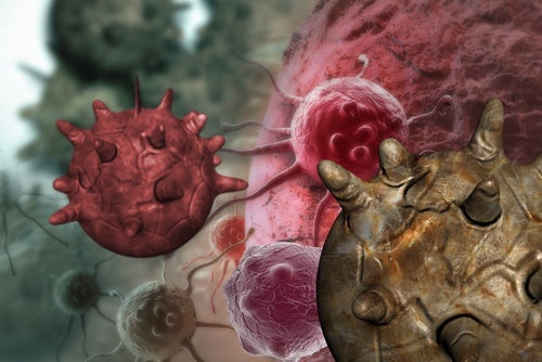 Mitos acerca de los alimentos cancerígenos