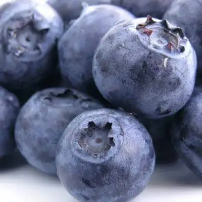 Alimentos recomendados para los riñones