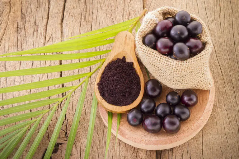 Acai, una fruta brasileña con propiedades maravillosas