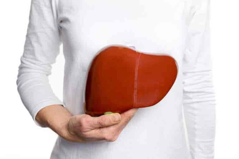 8 tips para fortalecer el hígado naturalmente