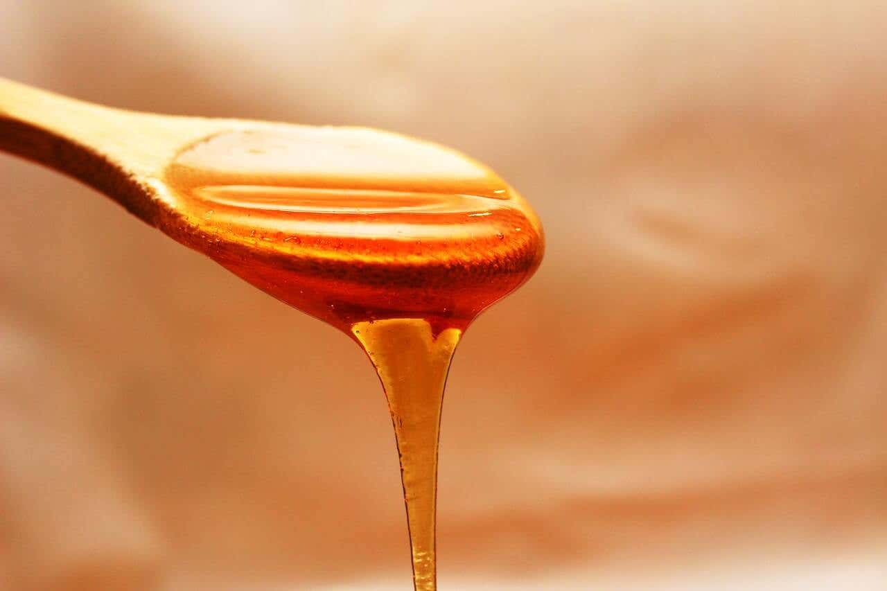 Studie über Honig - Honig tropft von einem Holzlöffel