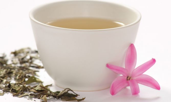 Características del té blanco