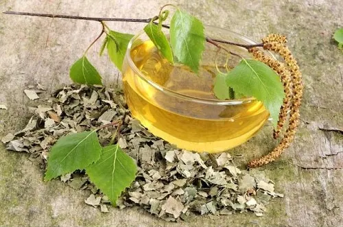 Abedul para combatir la celulitis