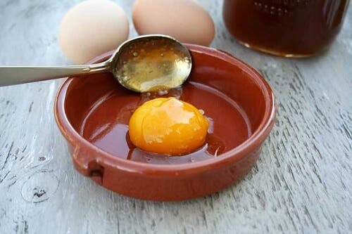 Tratamientos caseros del cabello graso