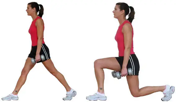 Lunge