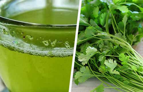 Propiedades del cilantro para la salud