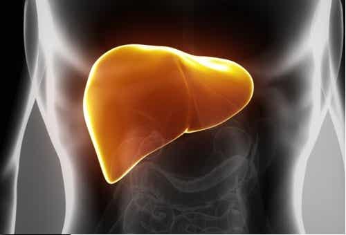 Hígado sano: Consejos y remedios naturales