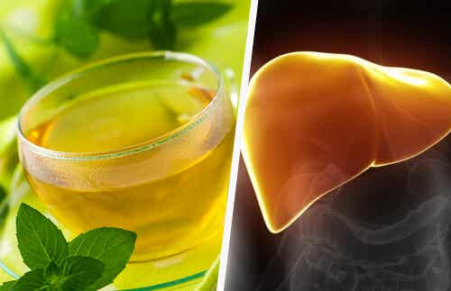 Cómo sanar tu hígado con alimentos integrales y vegetales amargos
