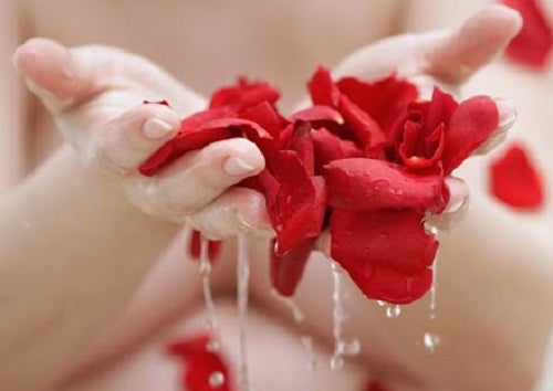 Beneficios naturales de las rosas en la piel y en la salud