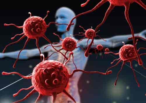 Formas de fortalecer el sistema inmunológico