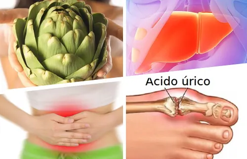 Descubre las propiedades de la alcachofa