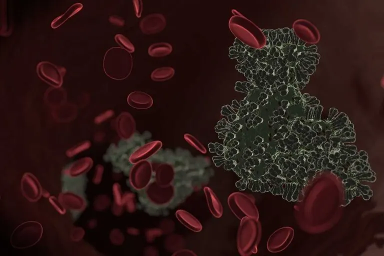 ¿Es posible eliminar los metales pesados del organismo?