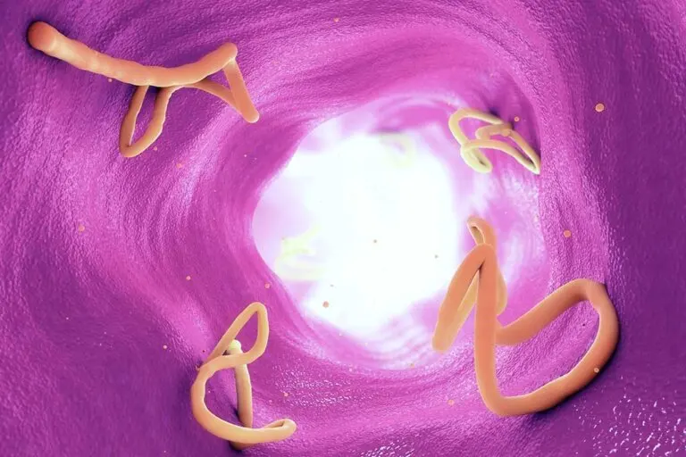 Parásitos gastrointestinales: qué son y qué provocan