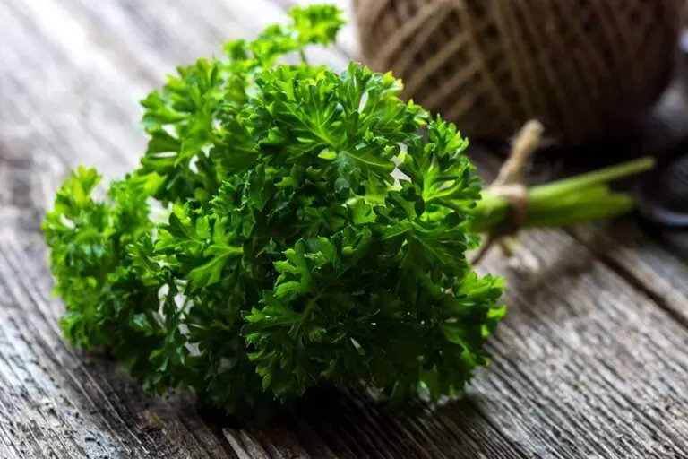 Perejil para las manchas de la piel