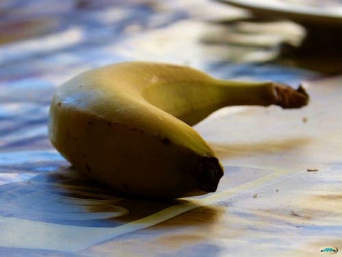 platano juantiagues