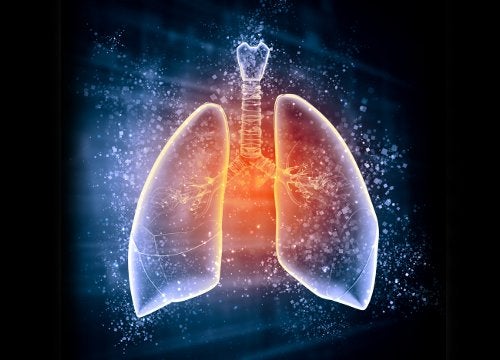 ¿Es posible fortalecer los pulmones con hierbas medicinales?