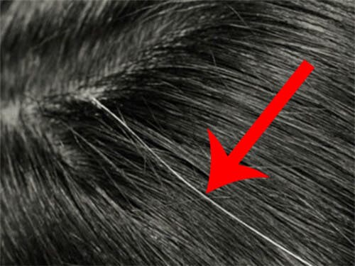 Cómo disimular las canas de manera casera