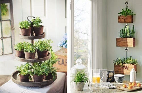 8 consejos para tener un hogar más sostenible y ecológico ¡Vale la pena!