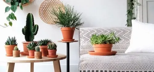 seres vivos energías