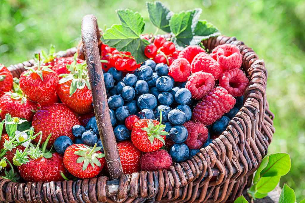 Las 5 frutas más saludables que puedes consumir
