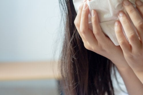 Alimentos que ayudan a diluir la mucosidad si sufres sinusitis