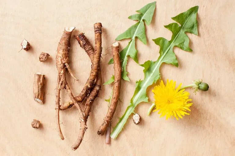 Limpieza de páncreas con zumos y plantas medicinales