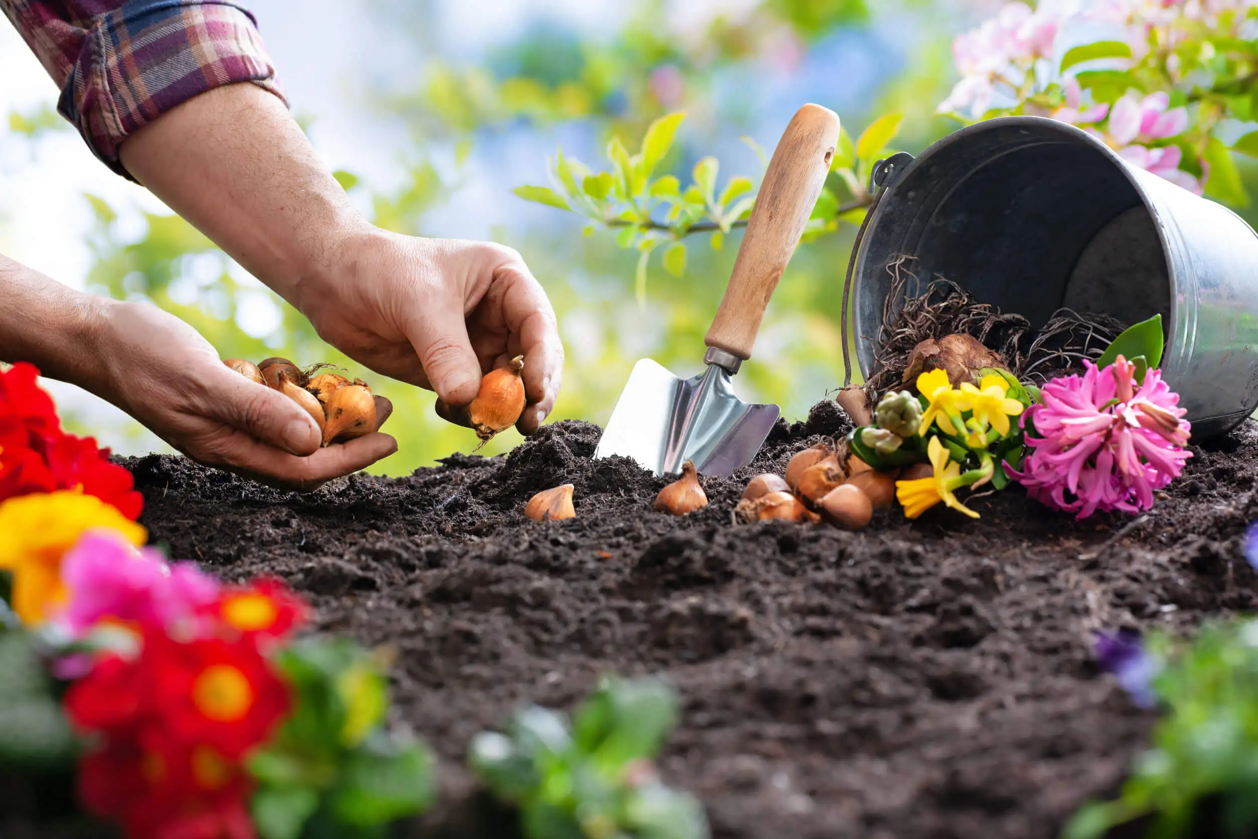 Jardinería para relajarse con slow gardening.