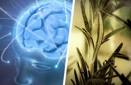 Alimentos para aumentar la capacidad intelectual