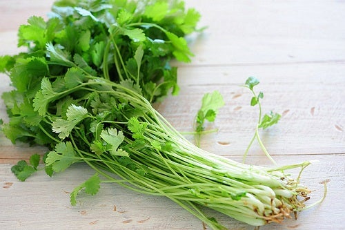 Usos y propiedades no conocidas del cilantro