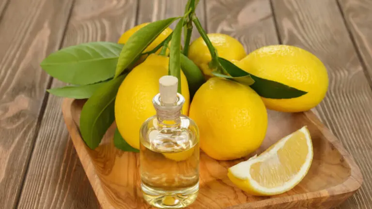 Aceite de oliva y limón: beneficios, mitos y realidades
