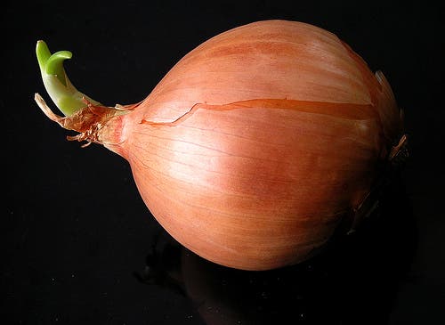 cebolla para la mucosidad