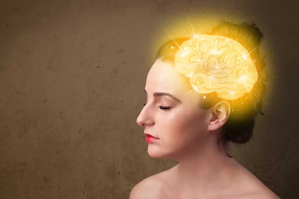 The brain and hindsight bias.