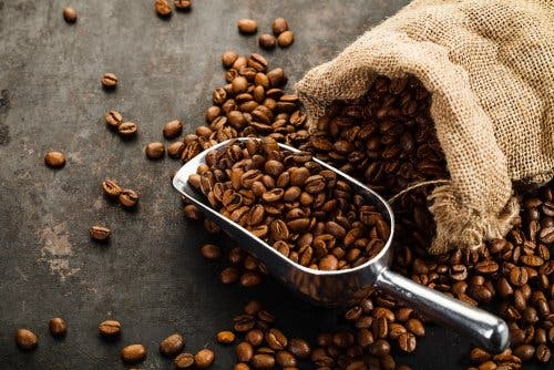 Granos de café