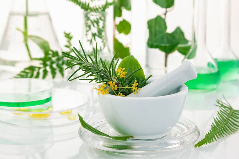 3 remedios con hierbas para combatir la pérdida de cabello