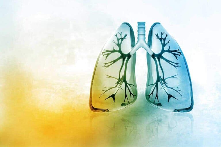 La “dieta” para desintoxicar los pulmones