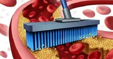 Los 10 mejores alimentos para limpiar arterias y venas