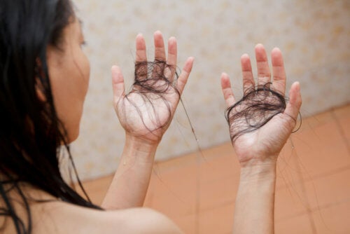 7 alimentos para prevenir la pérdida de cabello