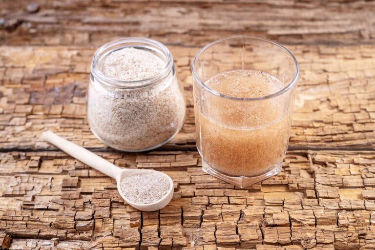 Plántago psyllium