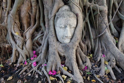 No puedes perderte este mágico lugar en Tailandia.