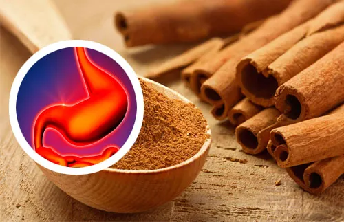 Té de canela, una bebida con potencial