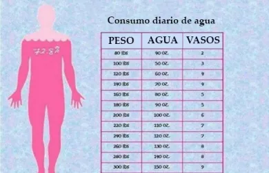 Beber agua: ¿cuánta necesitamos según nuestro peso?