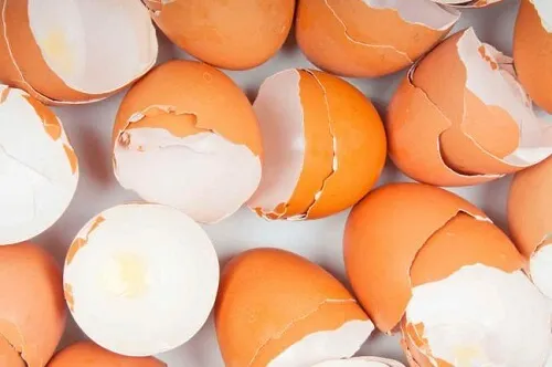 17 Sorprendentes usos de la cáscara de huevo